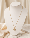 Seashell Locket Necklace